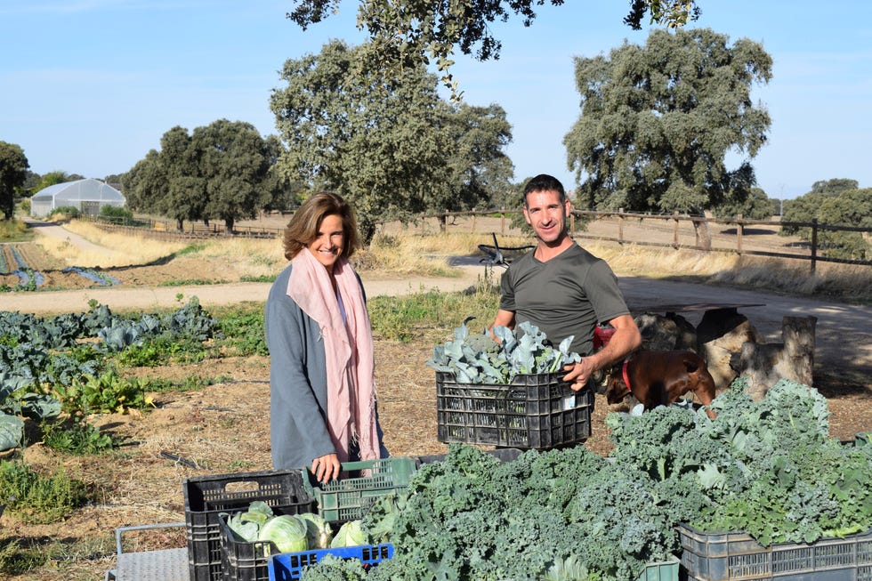 viaje a la vera extremadura artesanía gastronomía naturaleza