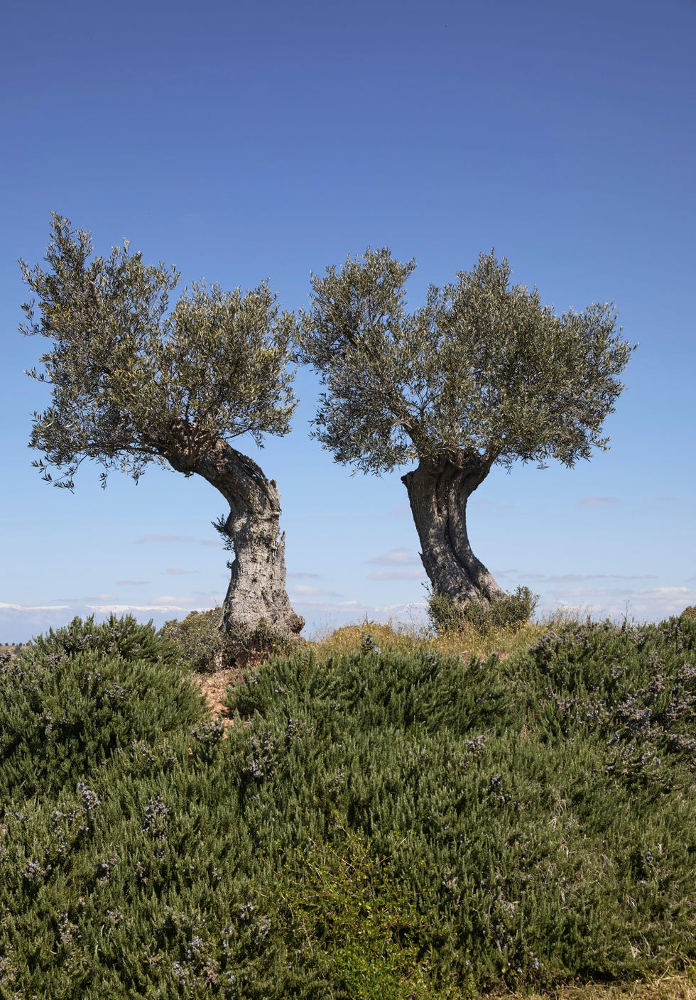 viaje a la vera extremadura artesanía gastronomía naturaleza