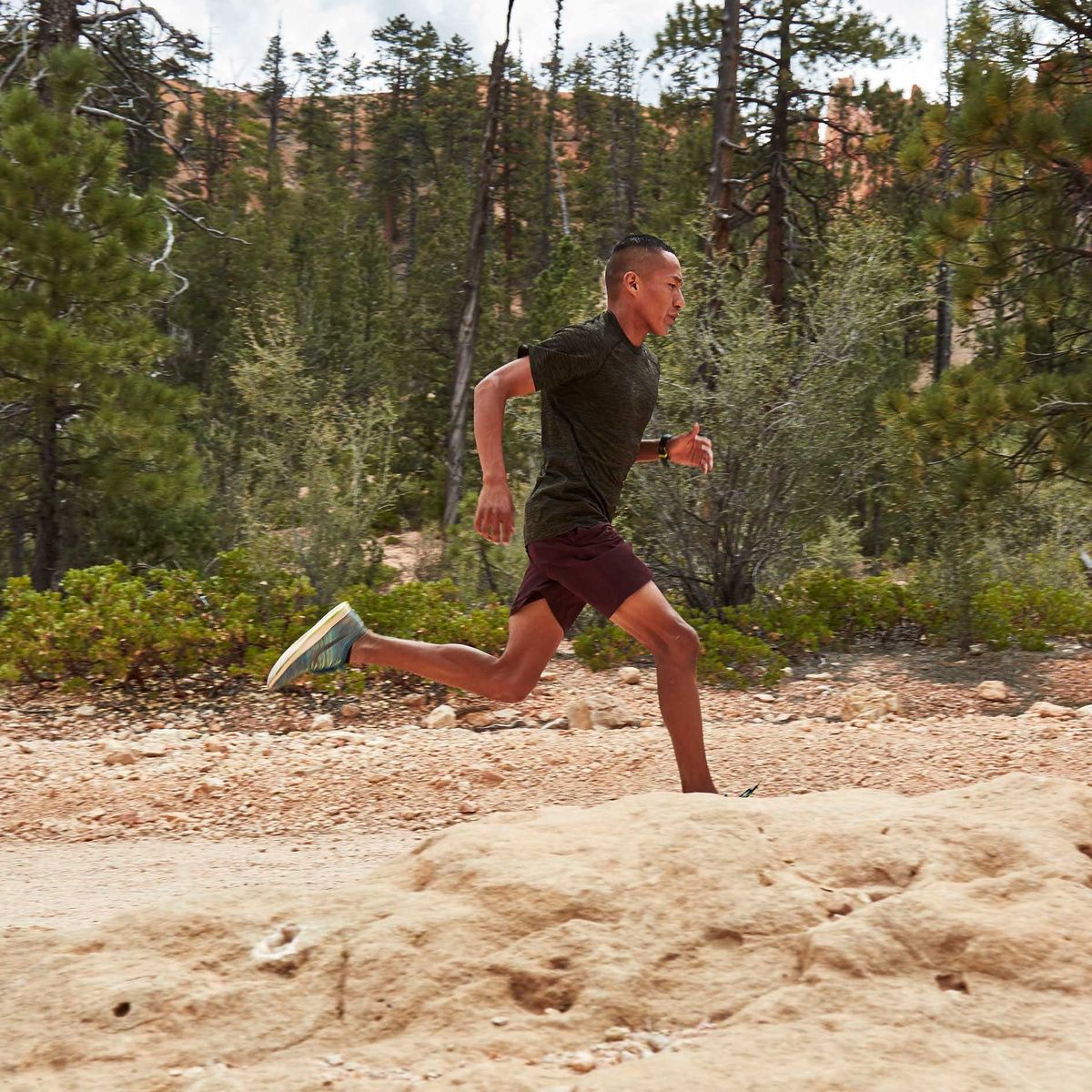 Sand, Recreation, Tree, Fun, Soil, Running, Trail, Vacation, Landscape, Forest, 