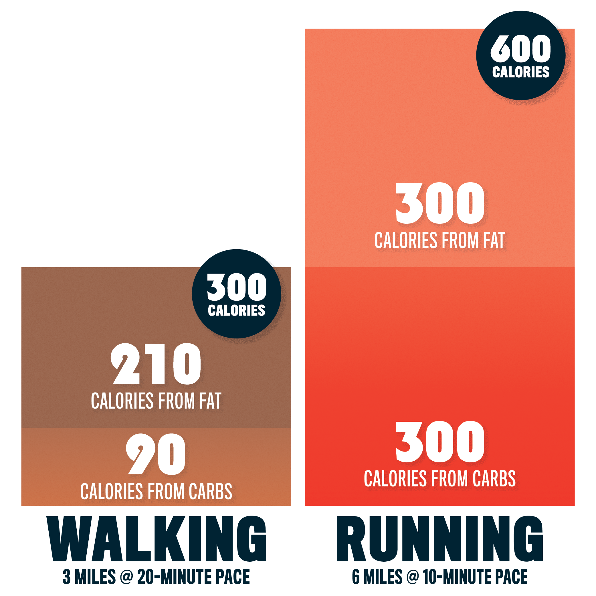 The Science of Fat Burning and Running Weight Loss for Runners