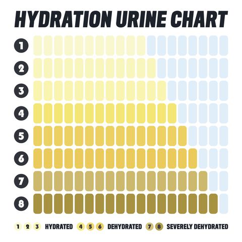 hydration urine chart