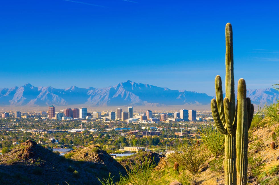 Saguaro, Sky, Nature, Blue, Metropolitan area, Vegetation, Daytime, Urban area, City, Natural landscape, 