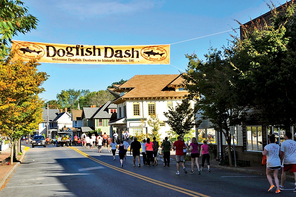 Dogfish Dash Pic