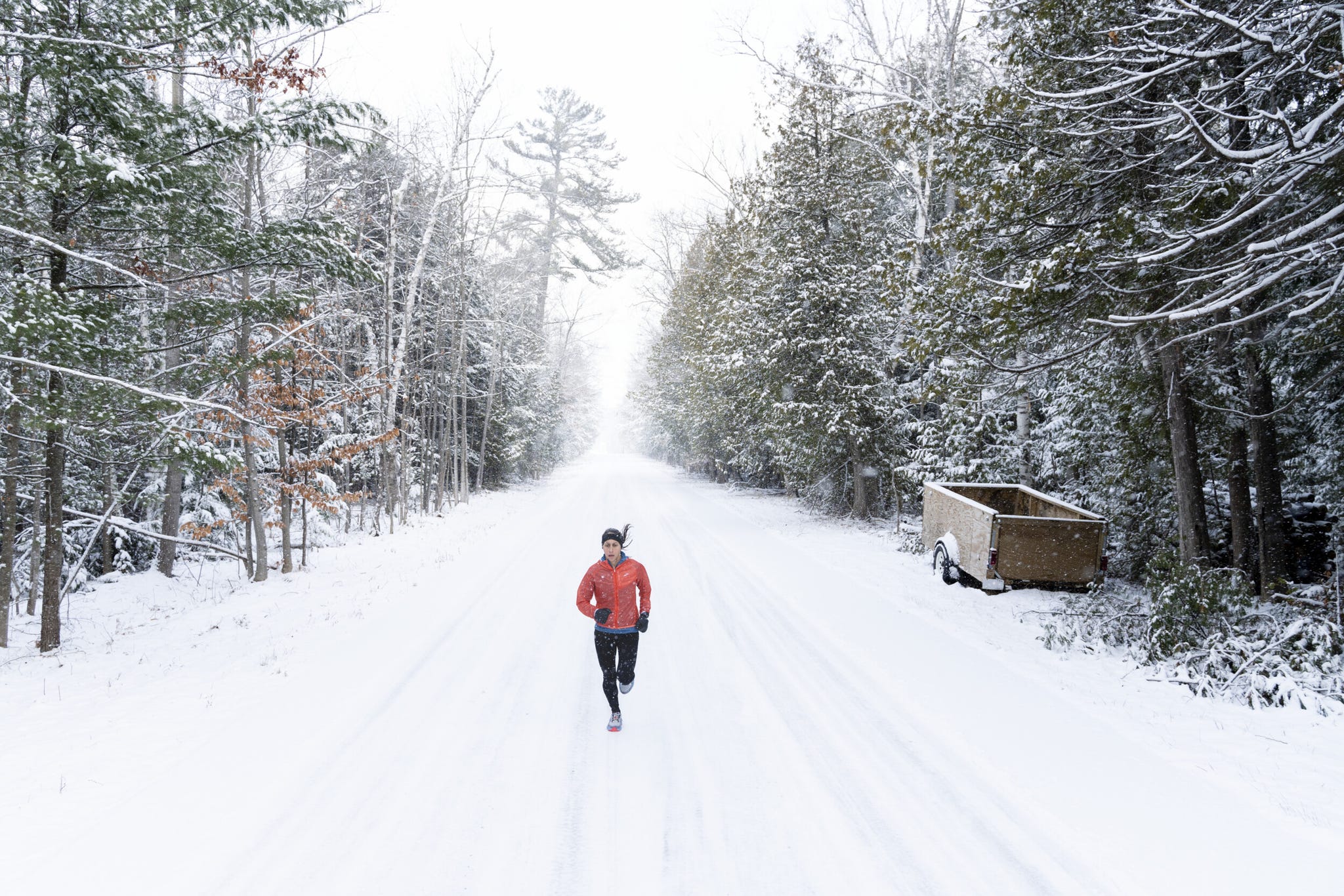 des linden photographed on december 17, 2022 in traverse city, michigan