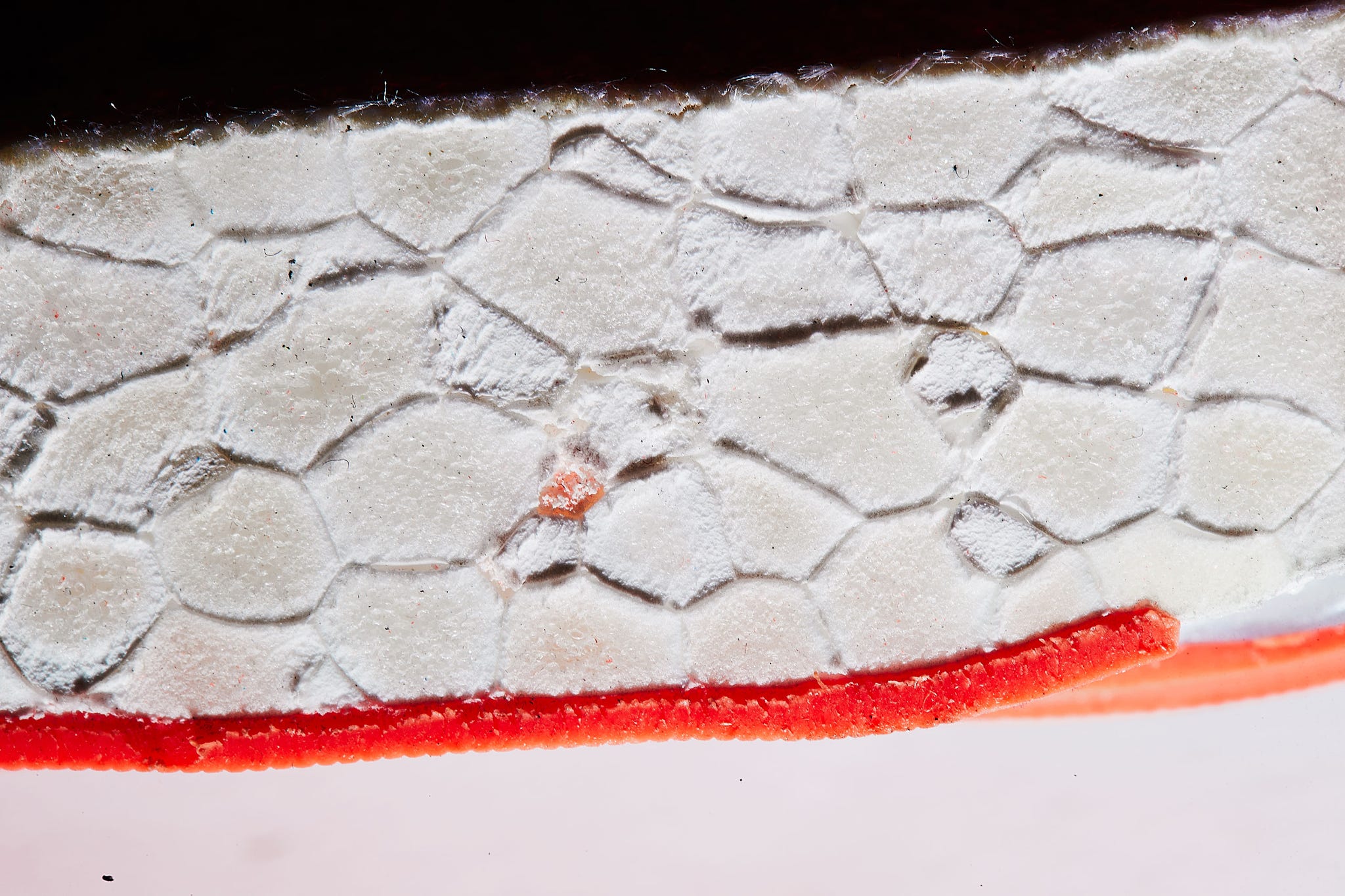 foam