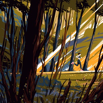 running through a forest running through a forest