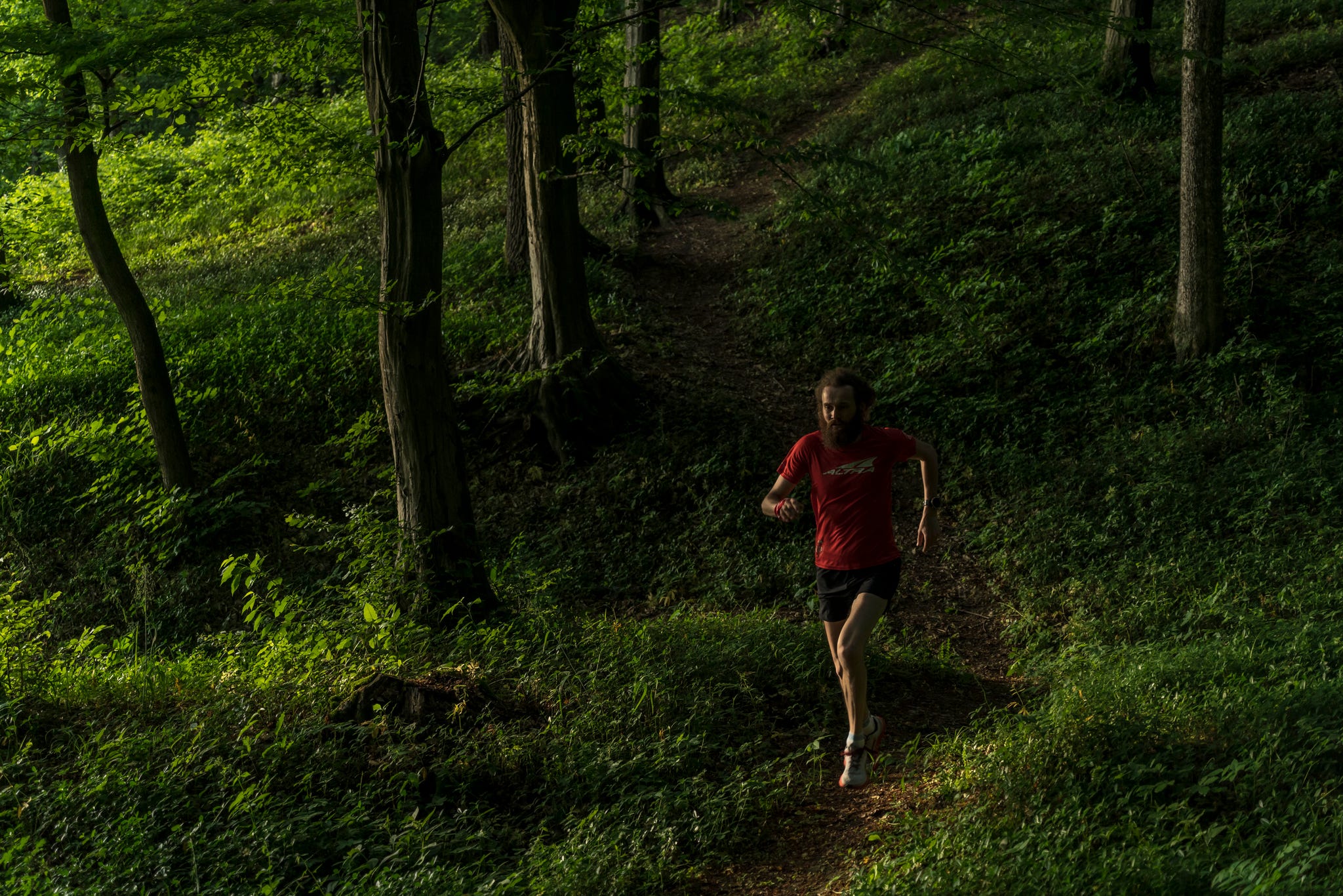 a runner on a trail in a green forest with dappled light