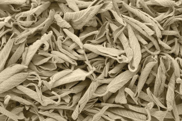 dried sage background clary sage salvia officinalis, poem, culture, reckoning with the west