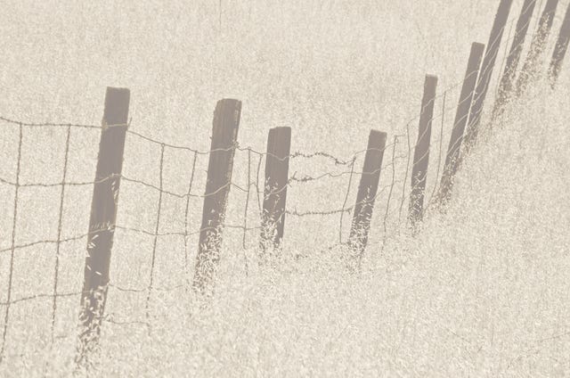 fence, reckoning with the west, land, poem