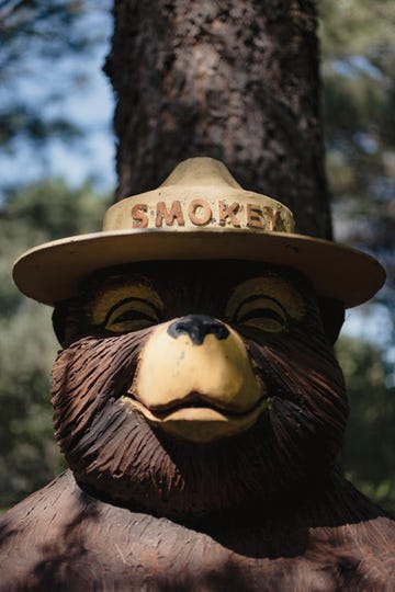 reckoning with the west, culture, a smokey bear statue at smokey bear historical park in capitan, new mexico