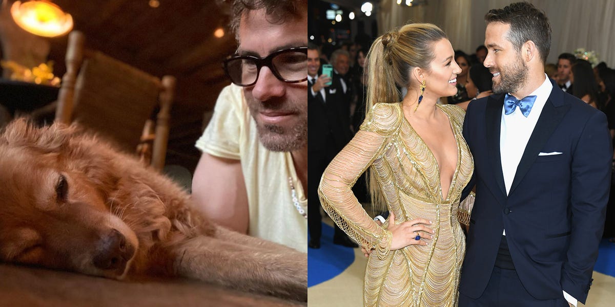 1200px x 675px - Blake Lively Responds to Ryan Reynolds' Sweet Birthday Dog Post