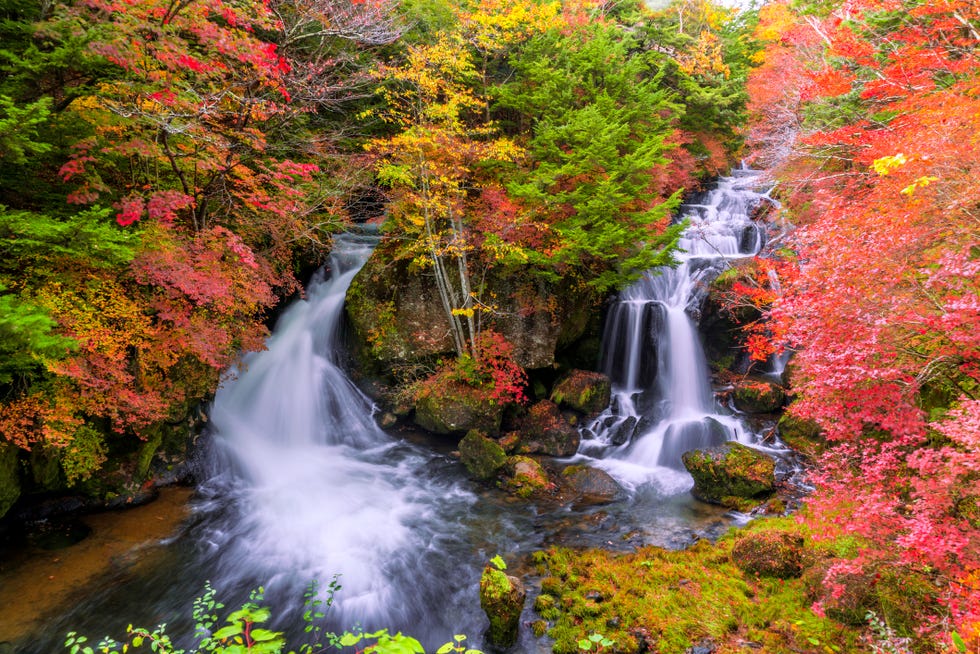 Ryuzu falls in Autumn, Nikko Ryuzu falls in Autumn, Nikko