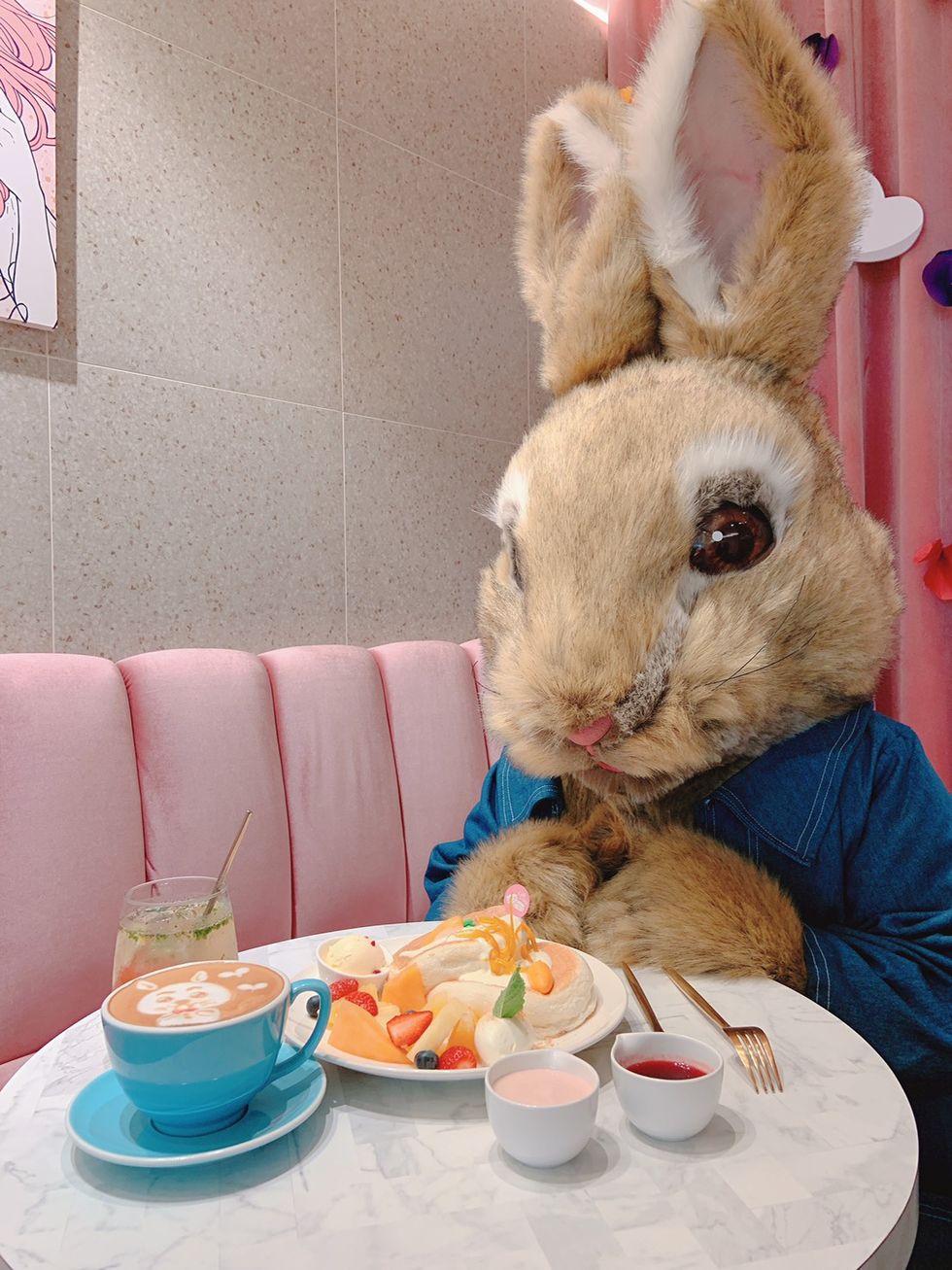Café del SOL鬆餅專賣店聯名彼得兔推出彼得兔鬆餅