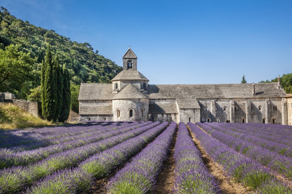 sénanque abbey with lavender fields