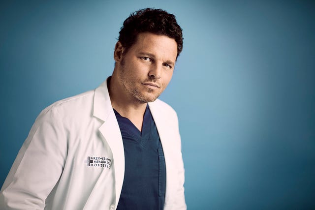 ABC's "Grey's Anatomy" - Season Sixteen