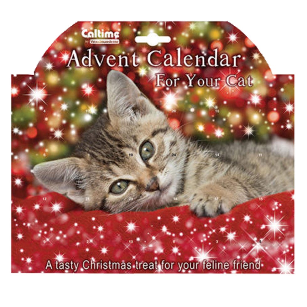 10 Best Cat Advent Calendars Christmas Advent Calendars for Cat Lovers