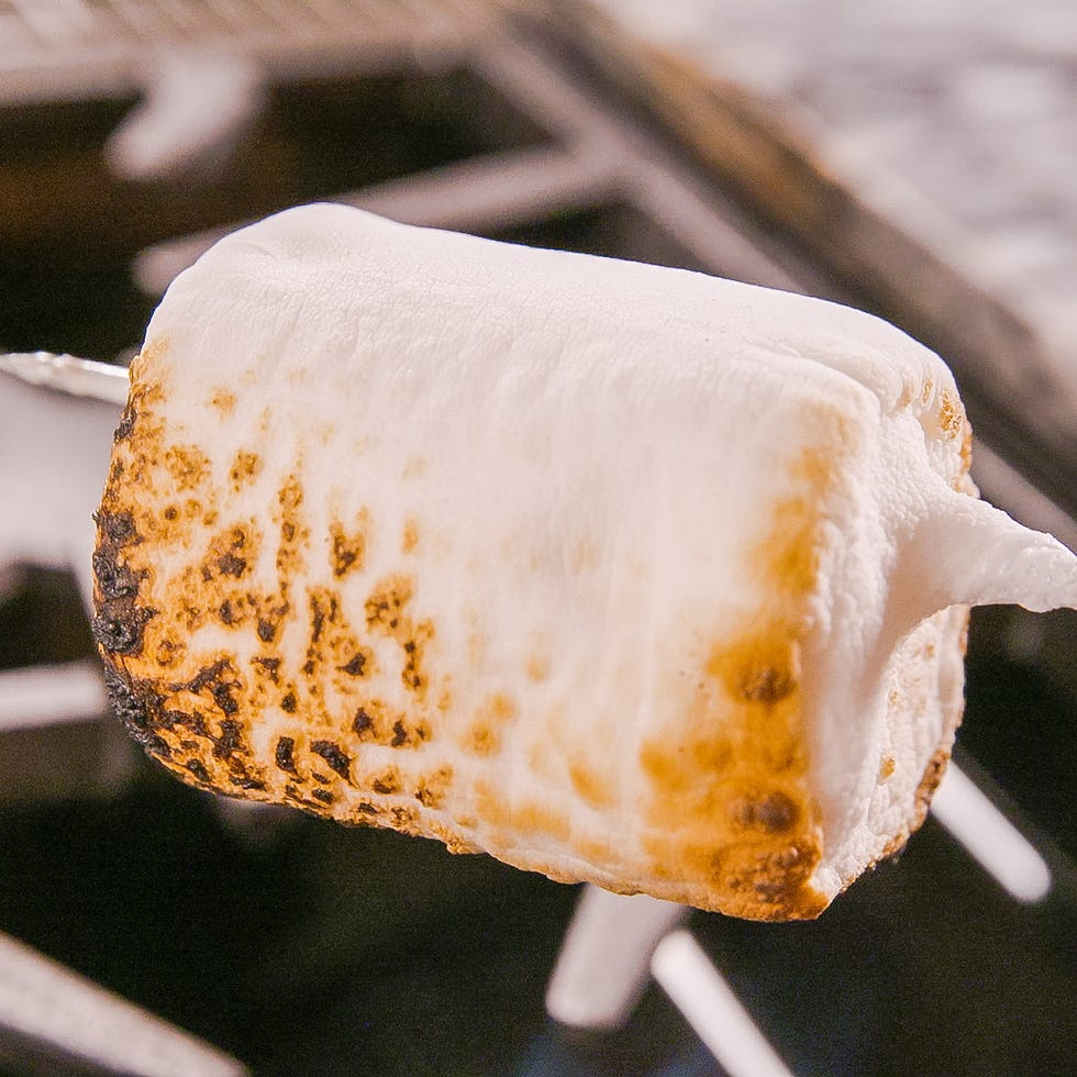 graham cracker, chocolate, and a toasted marshmallow