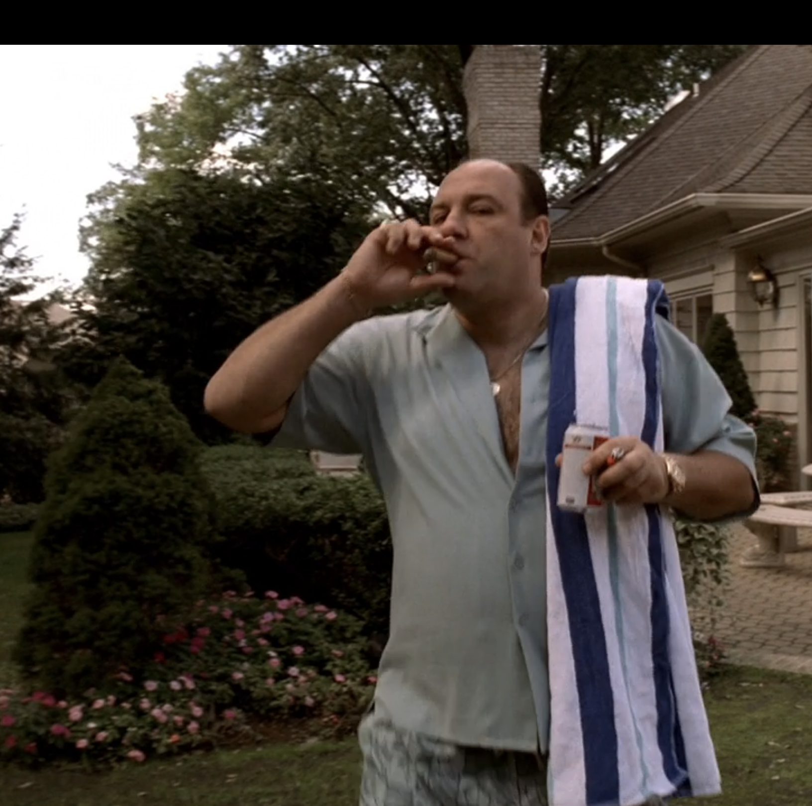 Tony Soprano Brings the Ultimate Cookout Style and You Should, Too