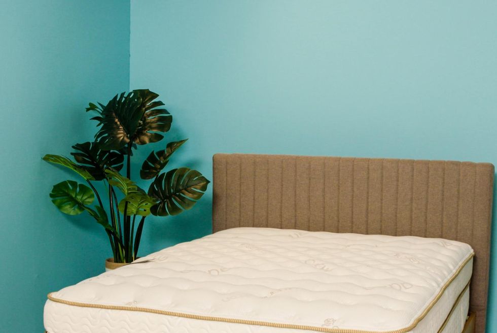 saatva classic mattress on a wood bed frame against a blue wall