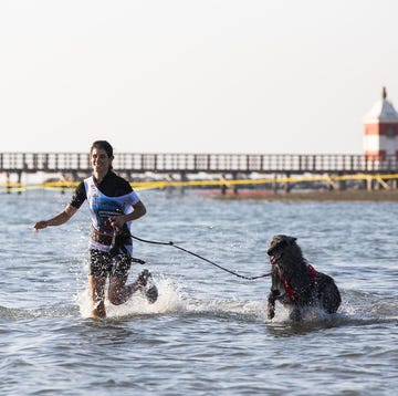 donna corre con il cane in acqua donna corre con il cane in acqua