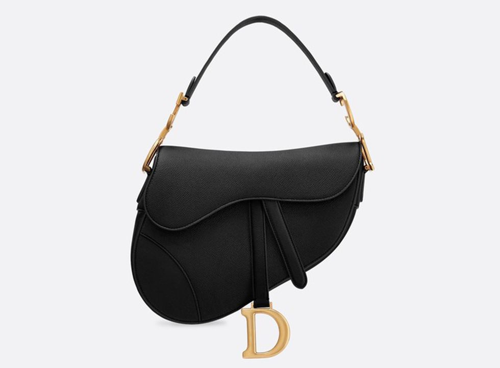 Saddle bag Dior