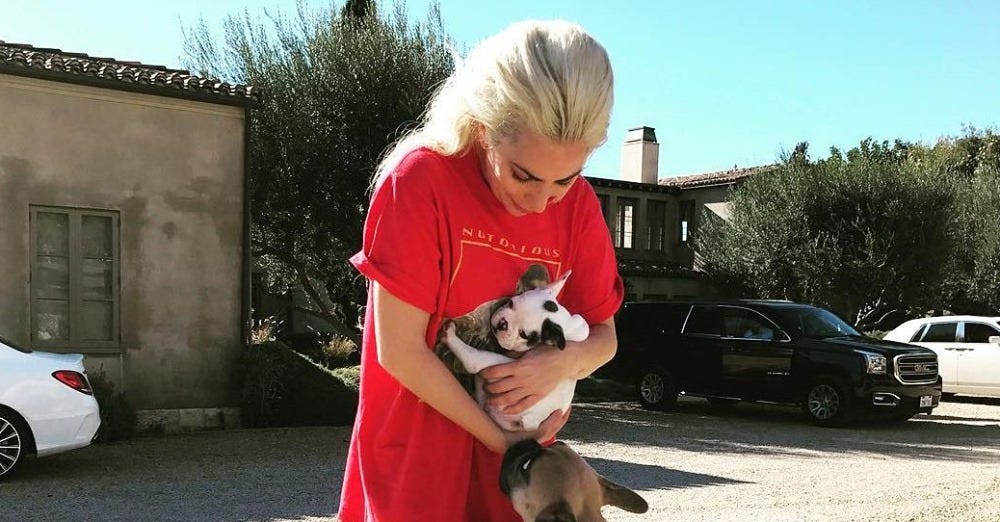 preview for Proof That Lady Gaga’s Legacy Will Live On Forever