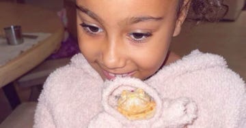 north west lizard