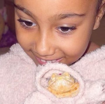 north west lizard north west lizard