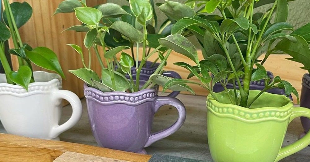 preview for How to Turn $4 Trader Joe's Flowers into a Stunning Centerpiece