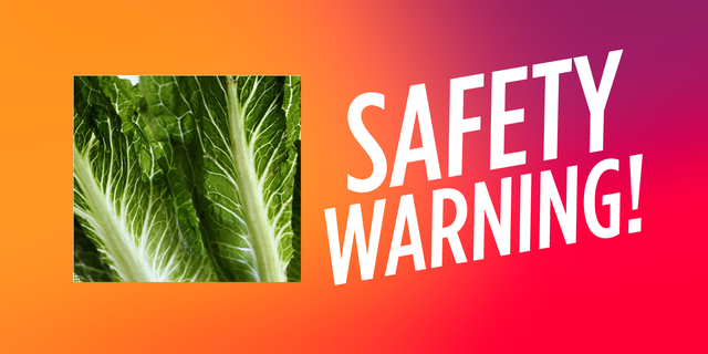 Green, Font, Leaf, Plant, Terrestrial plant, Grass, Tree, Adaptation, Natural foods, Arecales, 