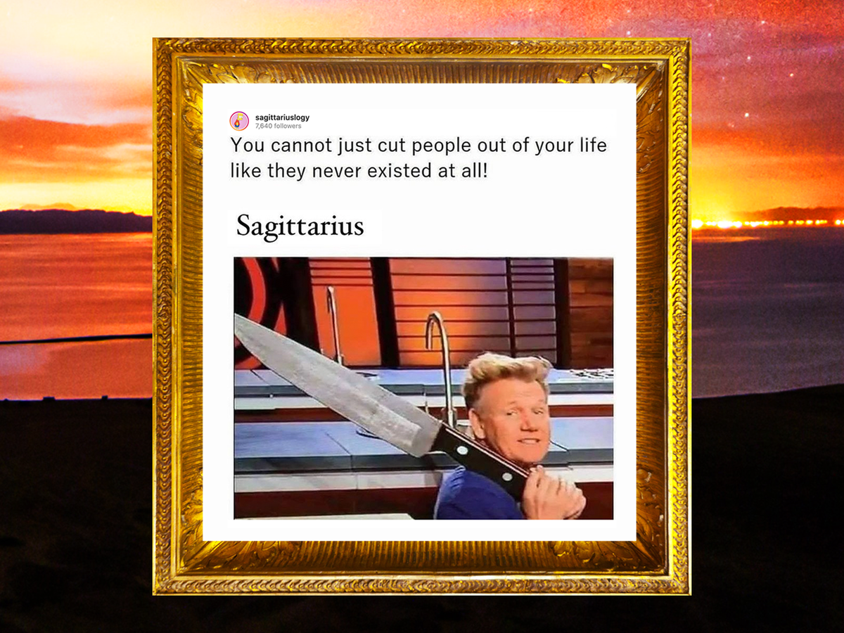 Best Sagittarius Memes on Instagram, Funny Zodiac Sign Memes