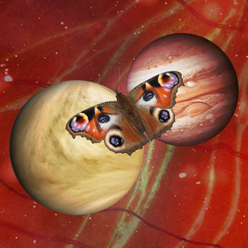 a butterfly rests on two planets