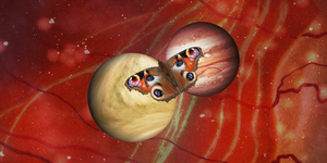 a butterfly rests on two planets