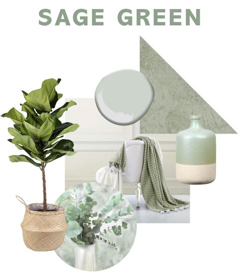 Green, Flowerpot, Leaf, Houseplant, Room, Plant, Grass, Tree, Table, Shelf, 