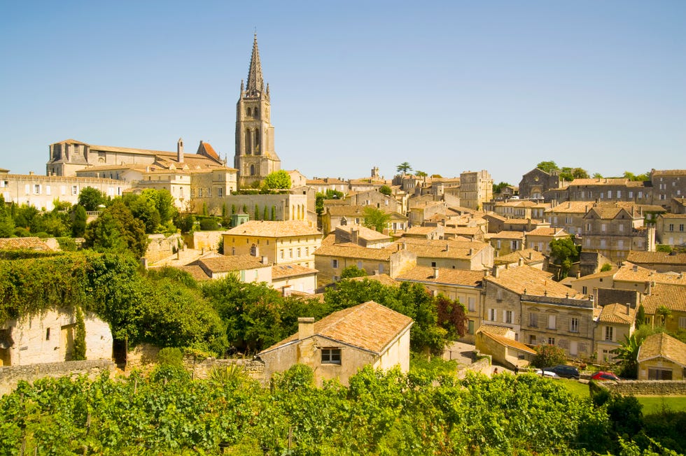 wine tasting bordeaux