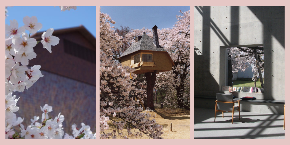 【全国】桜と建築のコラボレーションが美しいスポット15