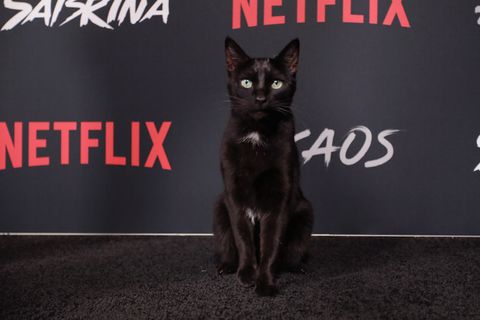 Netflix Original Series 'Chilling Adventures of Sabrina' Red Carpet And Premiere Event
