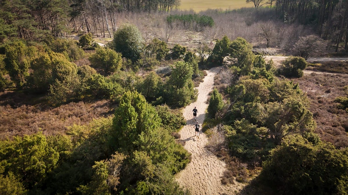 The most beautiful trail runs throughout the Netherlands