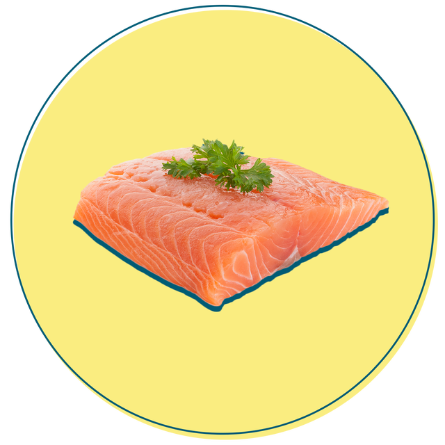 salmon