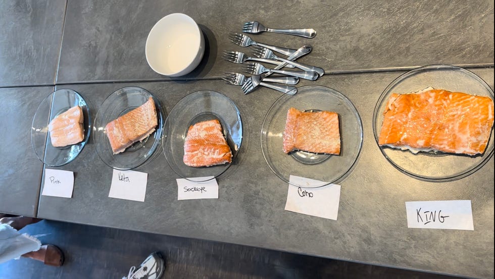 farmed salmon and wild salmon
