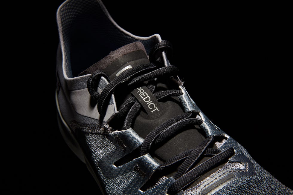 Salomon RA Predict