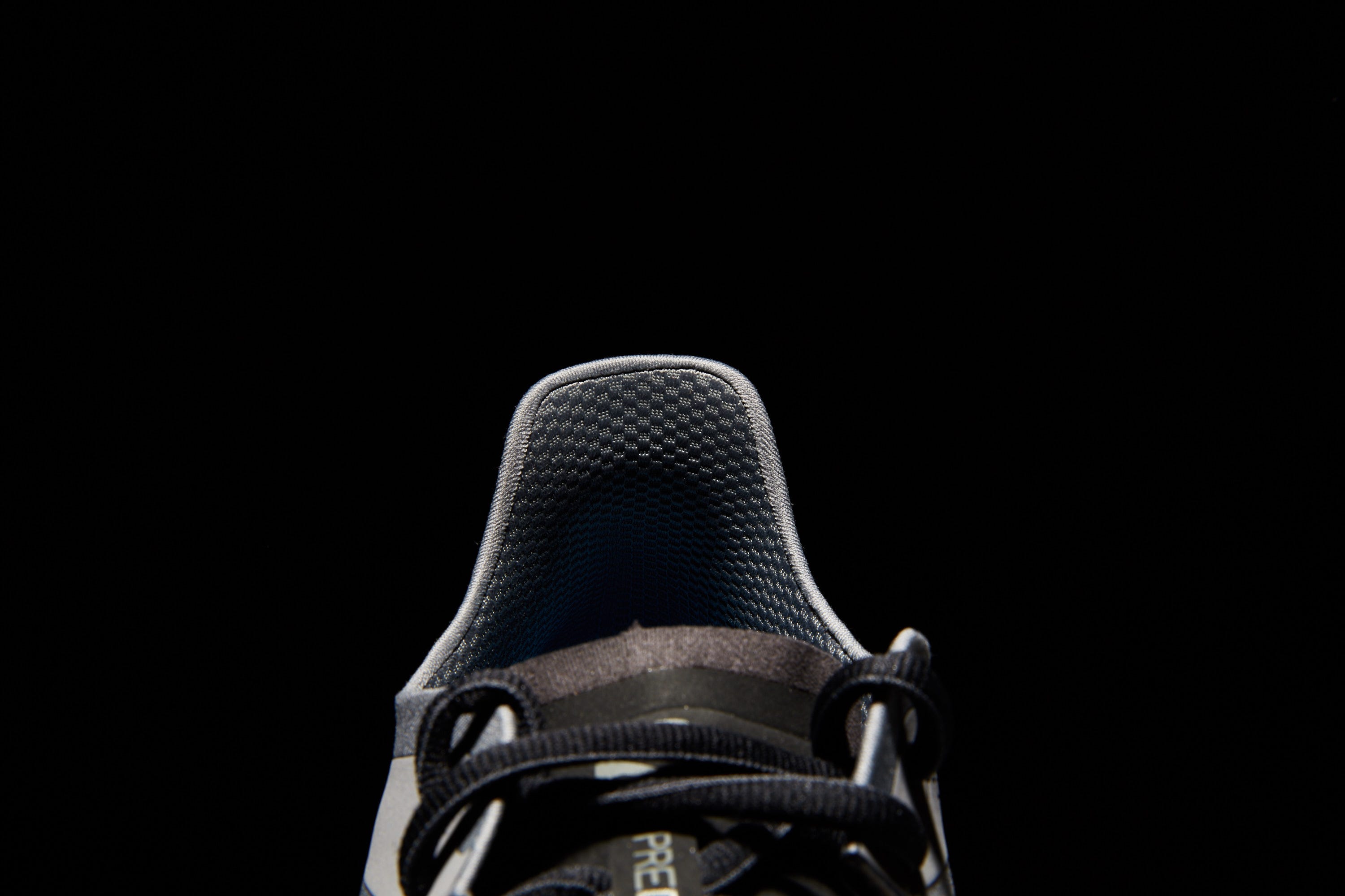 Salomon RA Predict