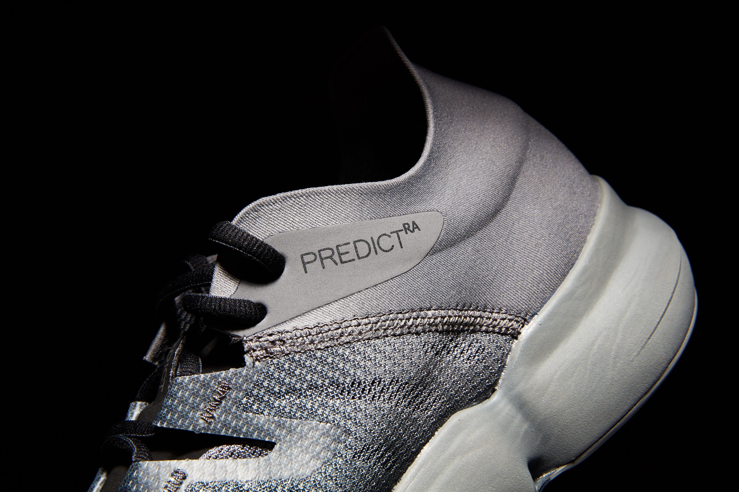 Salomon RA Predict