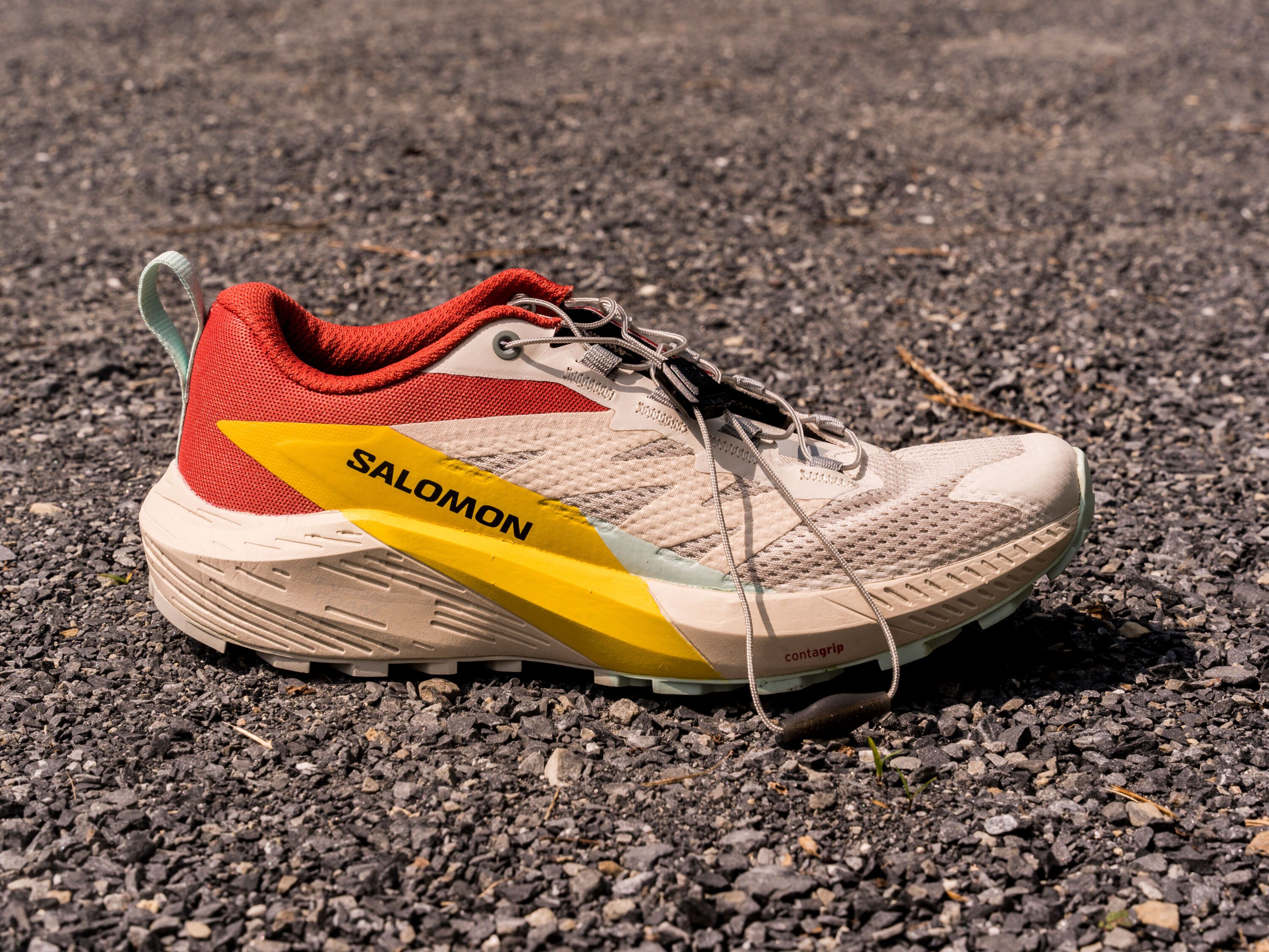 Salomon Sense Ride 5 Trail Running Shoe Review - FueledByLOLZ