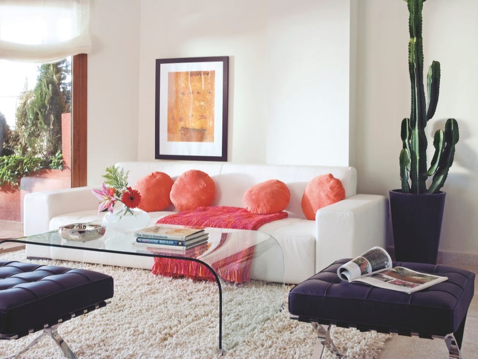 Living room, Room, Furniture, Property, Interior design, Coffee table, Table, Floor, House, Home, 