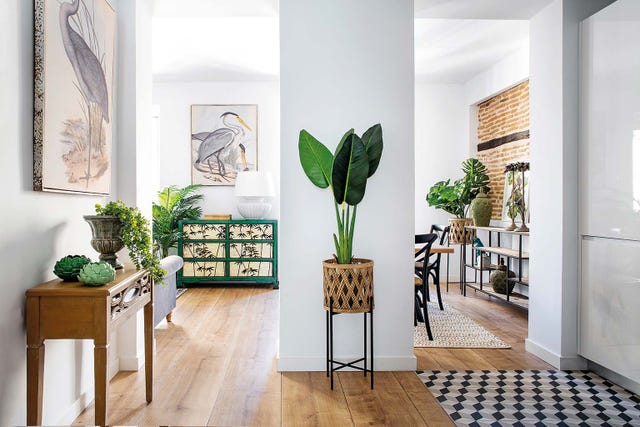 Piso en Madrid decorado con plantas