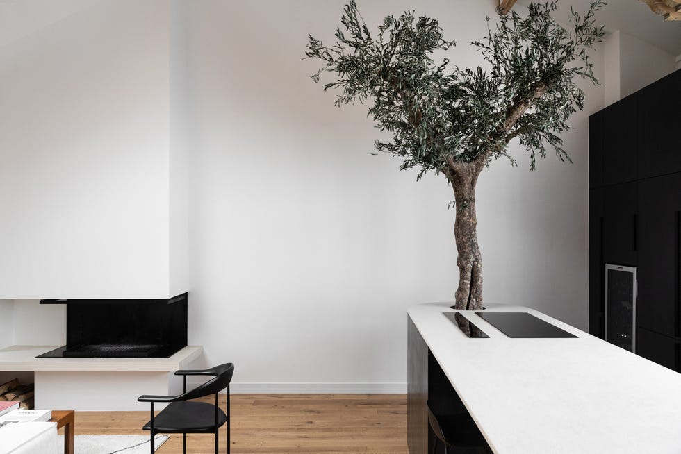 salón con chimenea integrado con la cocina con isla y un olivo natural