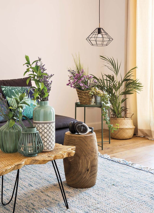 decorar el salón con plantas