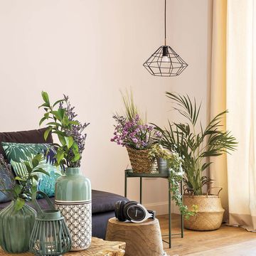 decorar el salón con plantas