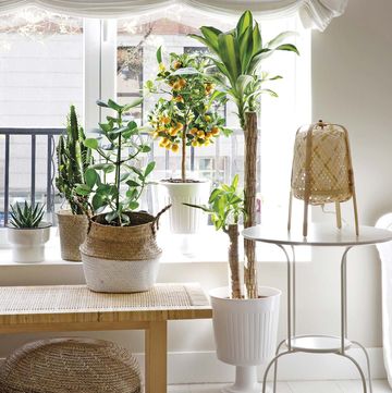 salón blanco con muebles de ikea y plantas